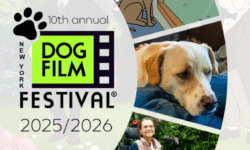 Premieres of 10th Annual NY Dog Film Festival & 8th Annual NY Cat Film Festival on Sunday, October 26, 2025 to Benefit Animal Lighthouse Rescue - FirstPublisher.org
