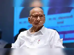 rajneetiguru.com - पडळकर की टिप्पणी पर पवार-फडणवीस आमने-सामने – The Economic Times