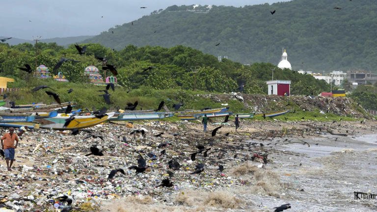 RajneetiGuru.com - चक्रवात मोंथा आंध्र में भूस्खलन, ओडिशा ने यात्रा चेतावनी जारी की - Image Credited by Times Now