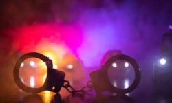 RajneetiGuru.com - लिव-इन पार्टनर की नृशंस हत्या के मामले में कन्नड़ अभिनेत्री गिरफ्तार - Image Credited by The Daily Jagran