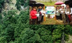 सिक्किम ने हिमालयी ओक वनों के संरक्षण के लिए शुरू किया मिशन - RajneetiGuru.com