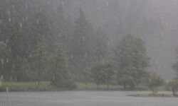 बिहार में भारी बारिश और आंधी का अलर्ट, दो जिलों में रेड अलर्ट - RajneetiGuru.com
